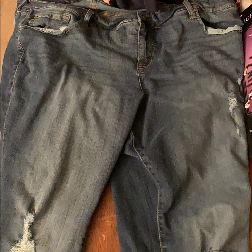 Torrid Jeans